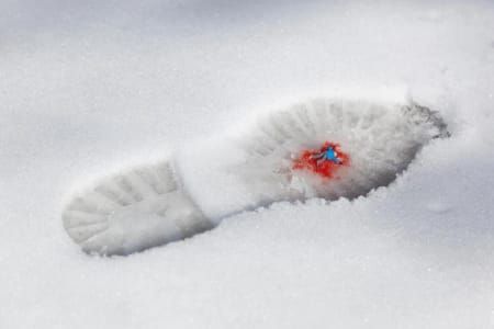 Artwork Title: Untitled