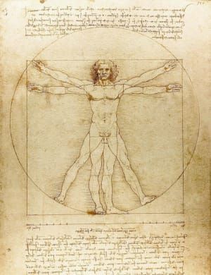 Artwork Title: L'Uomo Vitruviano (Vitruvian Man)