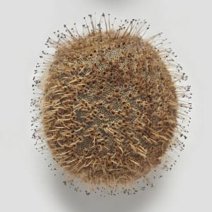 Artwork Title: Phasmid Eggs #6