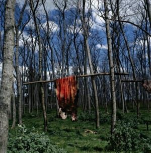 Artwork Title: Untitled