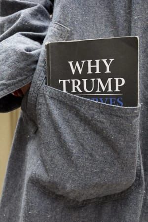 Artwork Title: Why Trump, New York