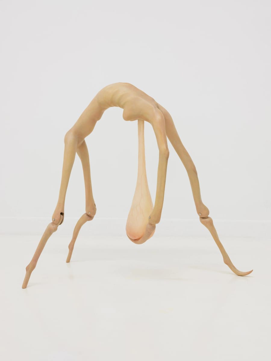 Artwork Title: Hesitation