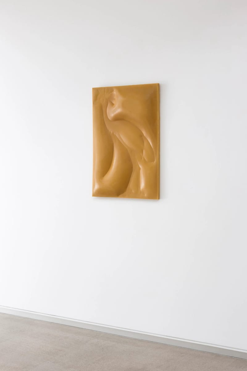 Artwork Title: Grulla coronada, paisaje naranja