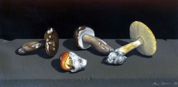 Artwork Title: Untitled