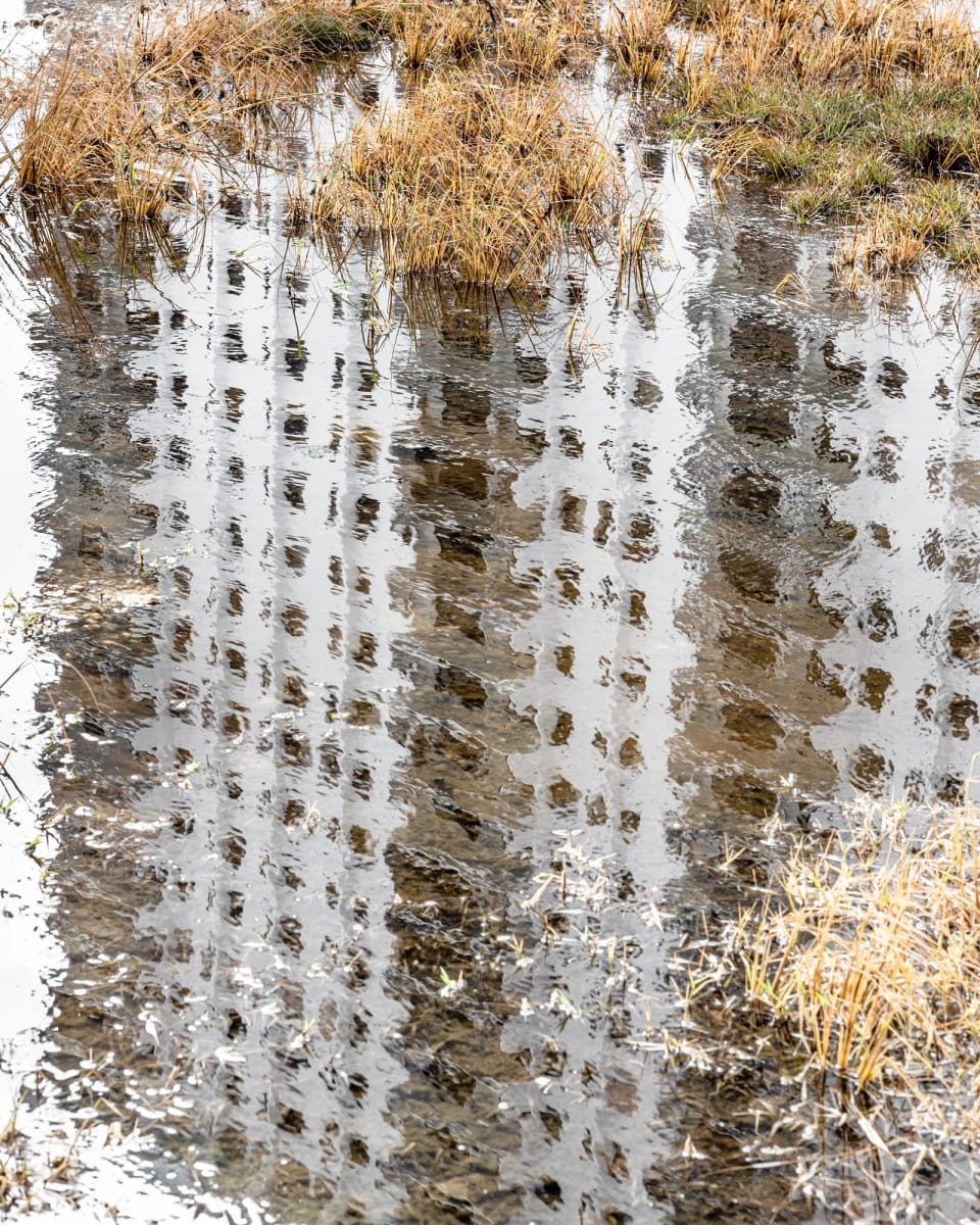 Artwork Title: Condo Reflection at King Tide, Hollywood