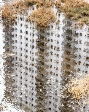 Artwork Title: Condo Reflection at King Tide, Hollywood
