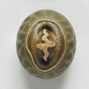 Artwork Title: Phasmid Eggs #15