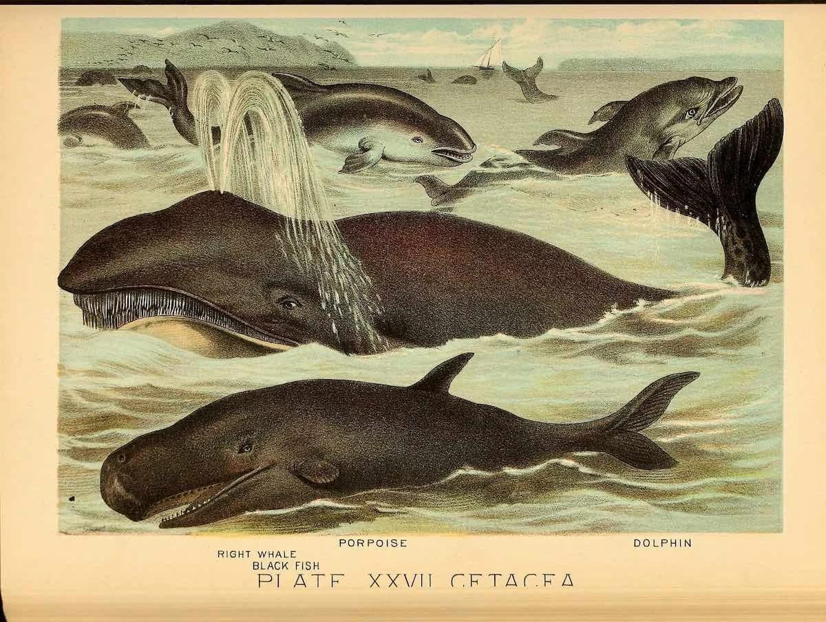 Artwork Title: undefined