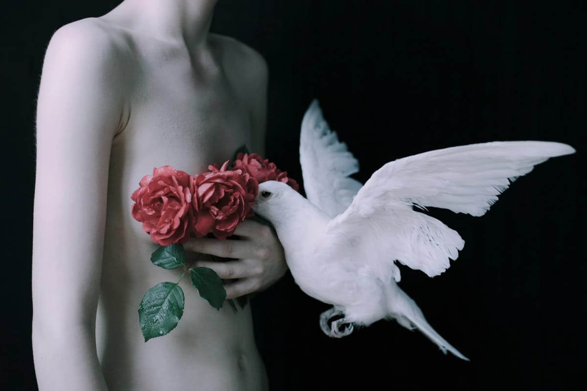 Artwork Title: undefined