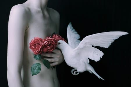 Artwork Title: Untitled