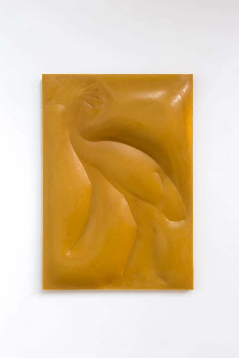 Artwork Title: Grulla coronada, paisaje naranja