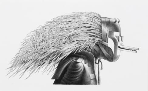 Artwork Title: Snout