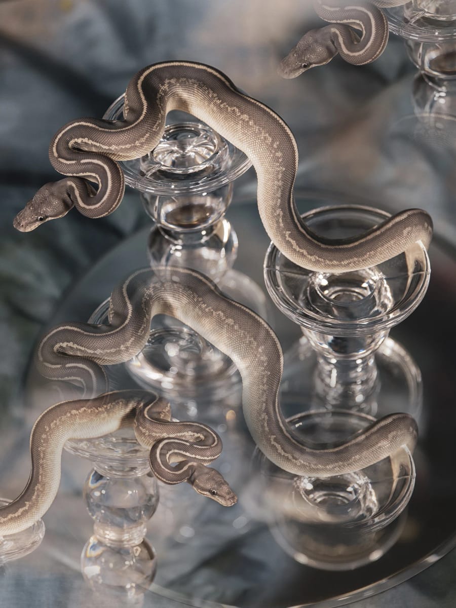 Artwork Title: undefined