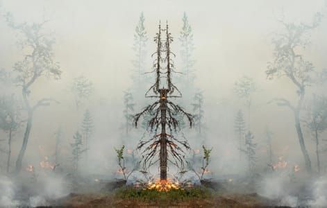 Artwork Title: Fire with Fire