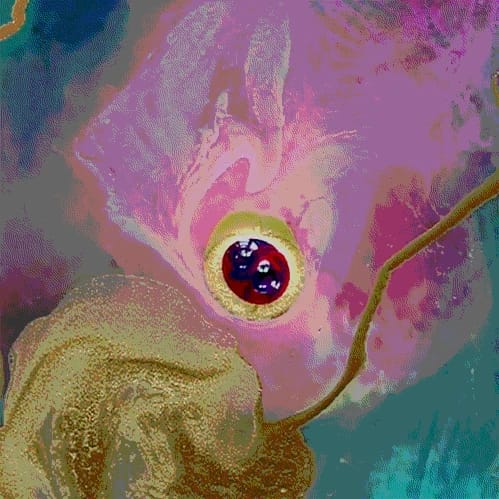 Artwork Title: undefined