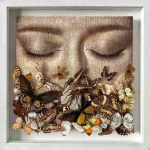 Artwork Title: Untitled