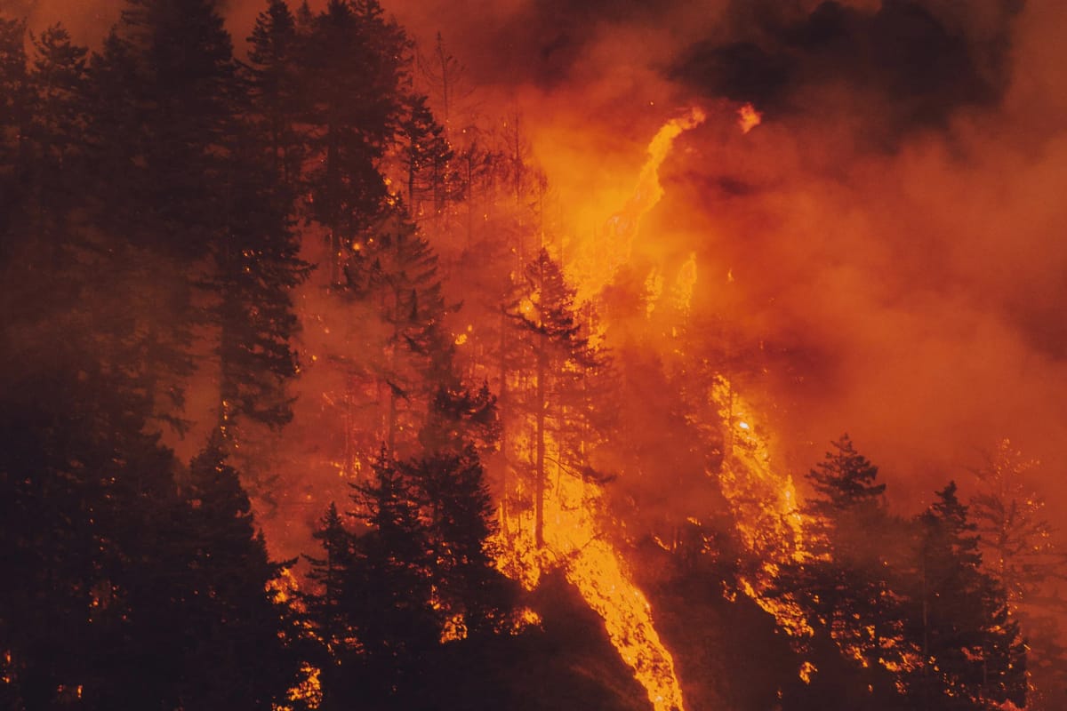 Artwork Title: undefined