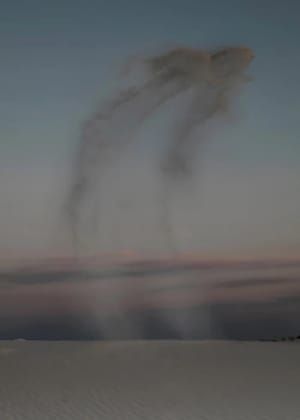 Artwork Title: Untitled