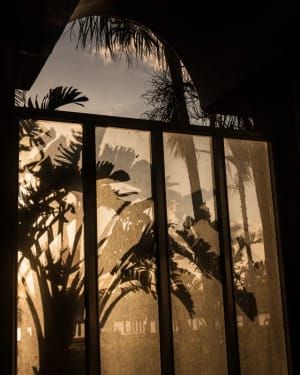 Artwork Title: Sunset after Hurricane