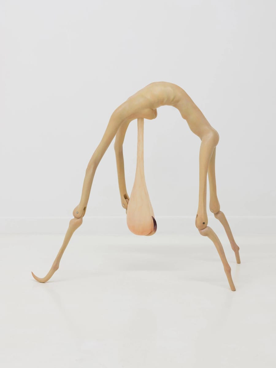 Artwork Title: Hesitation