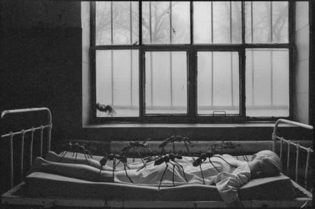 Artwork Title: The Laboratory Of Sleep