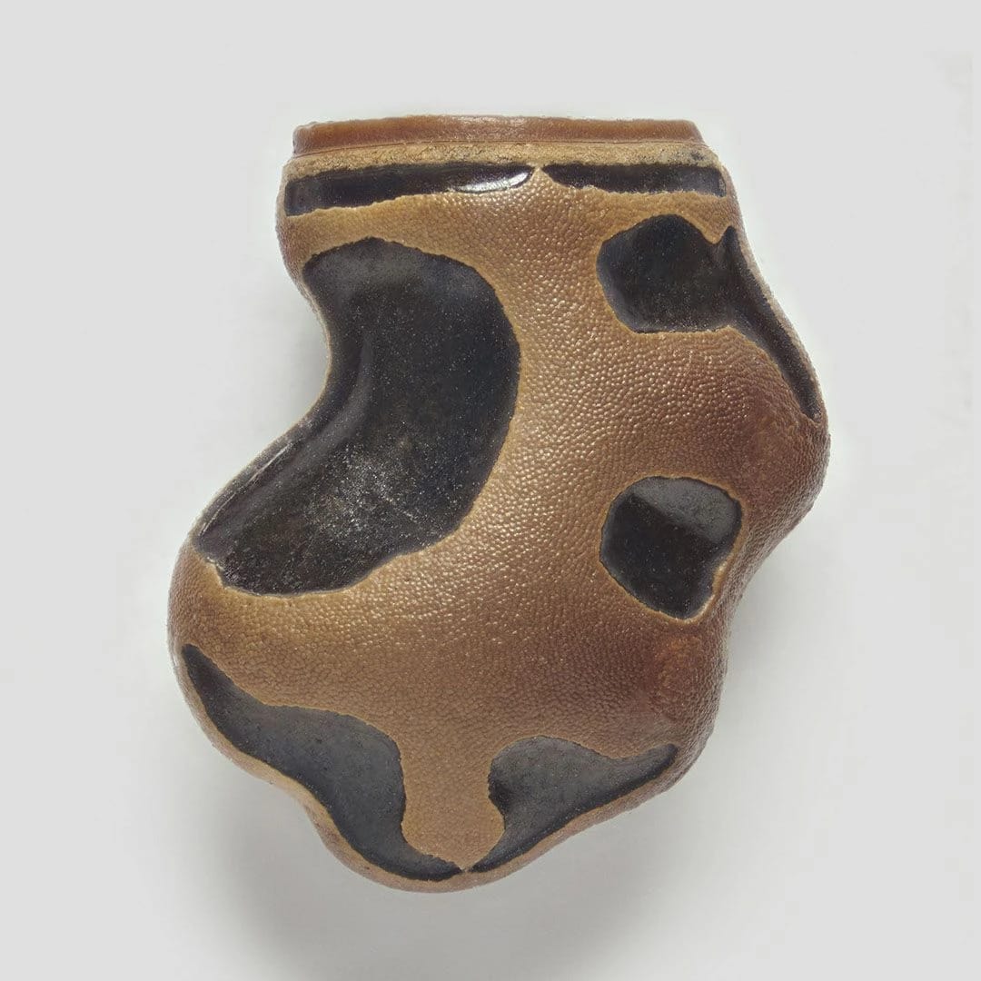 Artwork Title: Phasmid Eggs #9