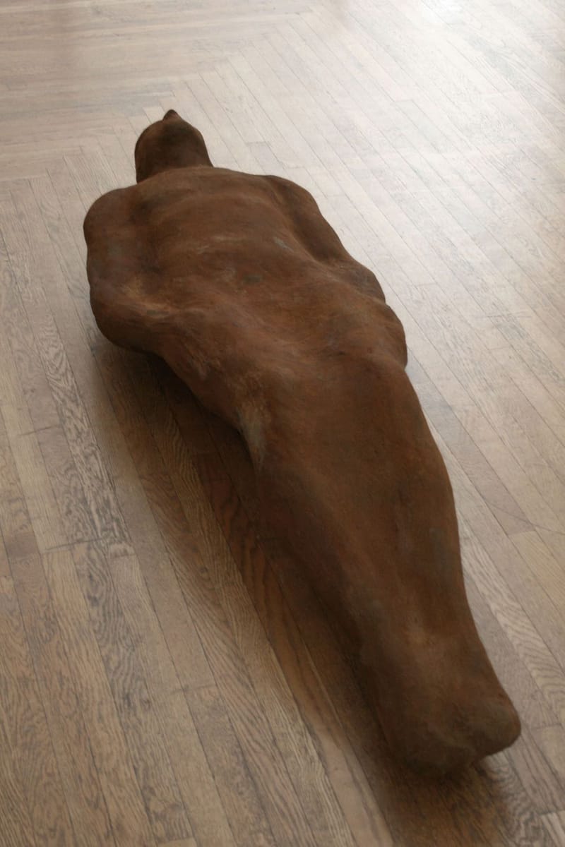 Artwork Title: Fossil