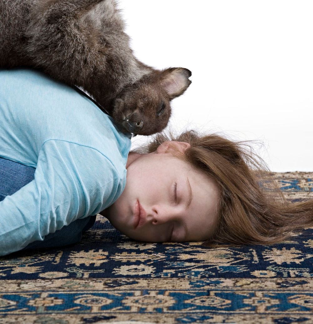 Artwork Title: Balasana