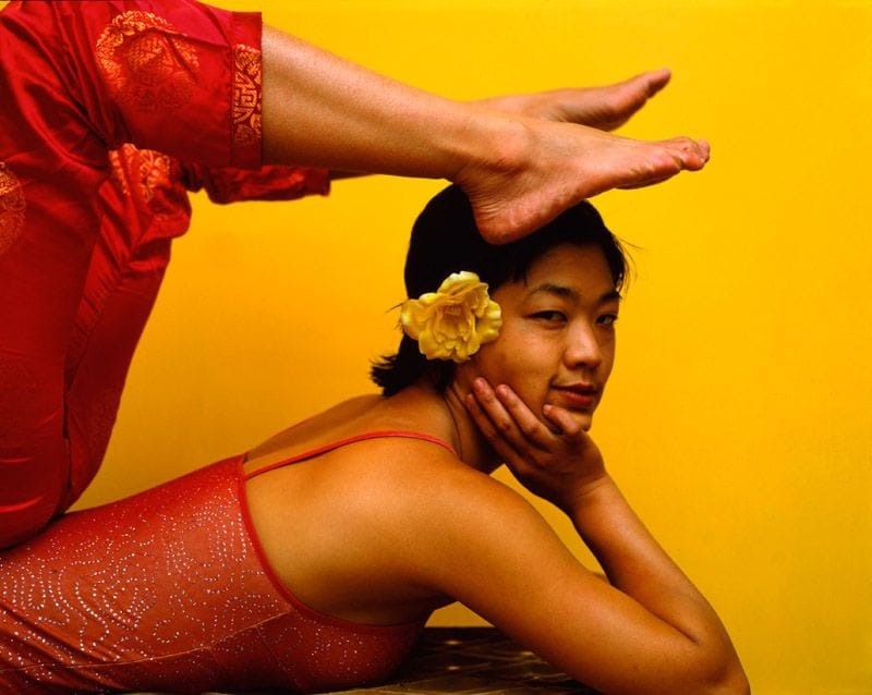 Artwork Title: Contortion