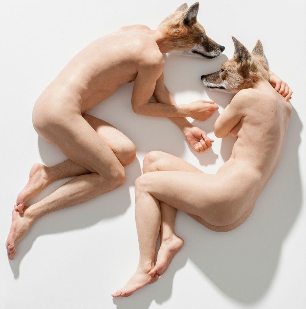 Artwork Title: undefined