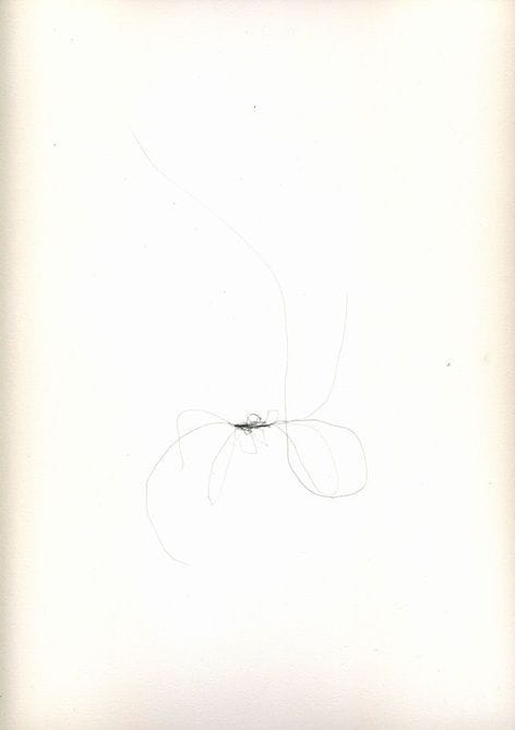 Artwork Title: Untitled (Hair 7)