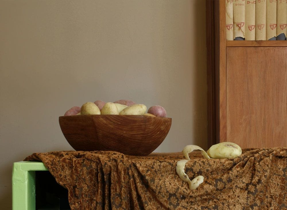 Artwork Title: Still Life with Potatoes and Dictionary