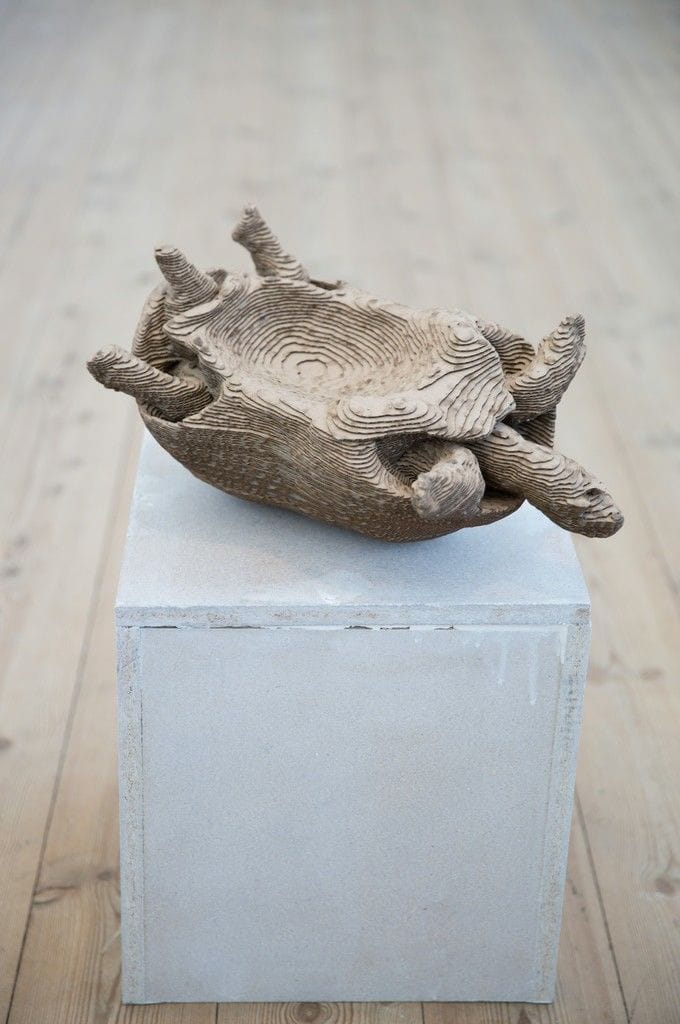 Artwork Title: Testudo Tabulata/Pyx