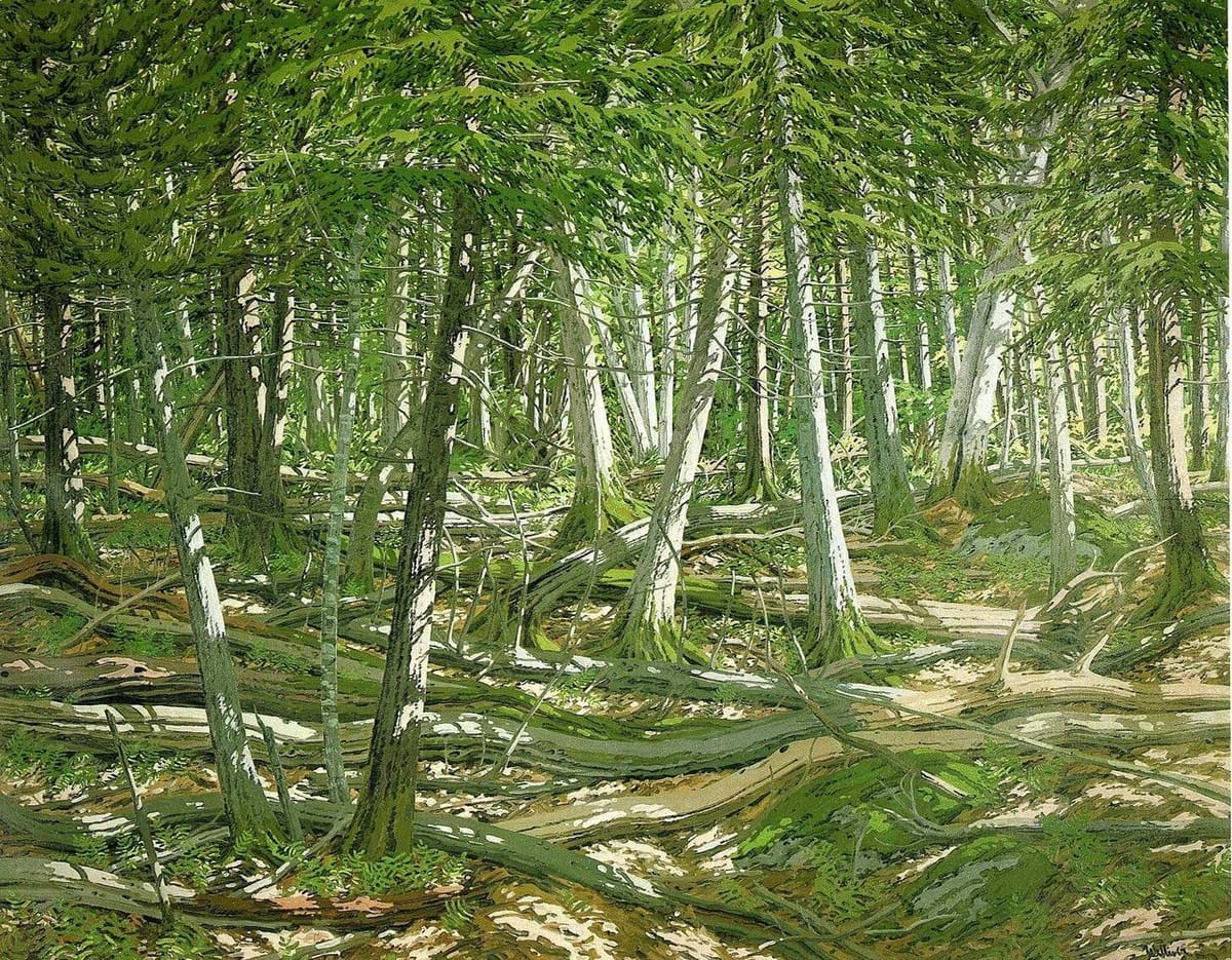 Artwork Title: Old Windfall