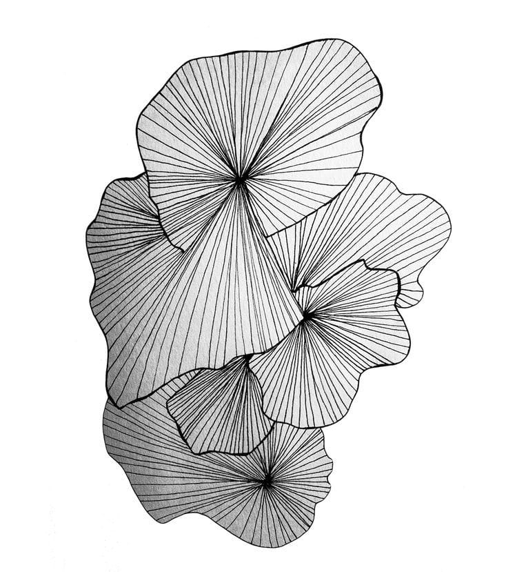 Artwork Title: Kwiat