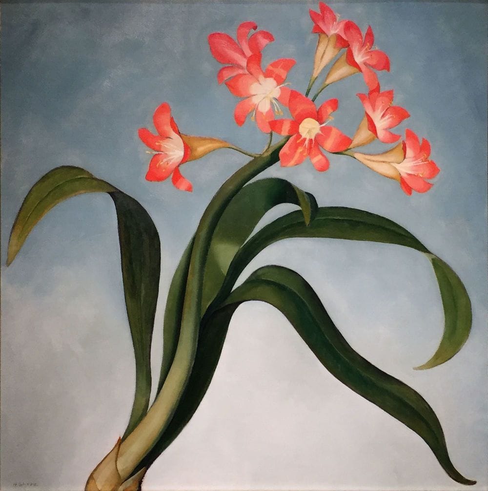 Artwork Title: Clivia