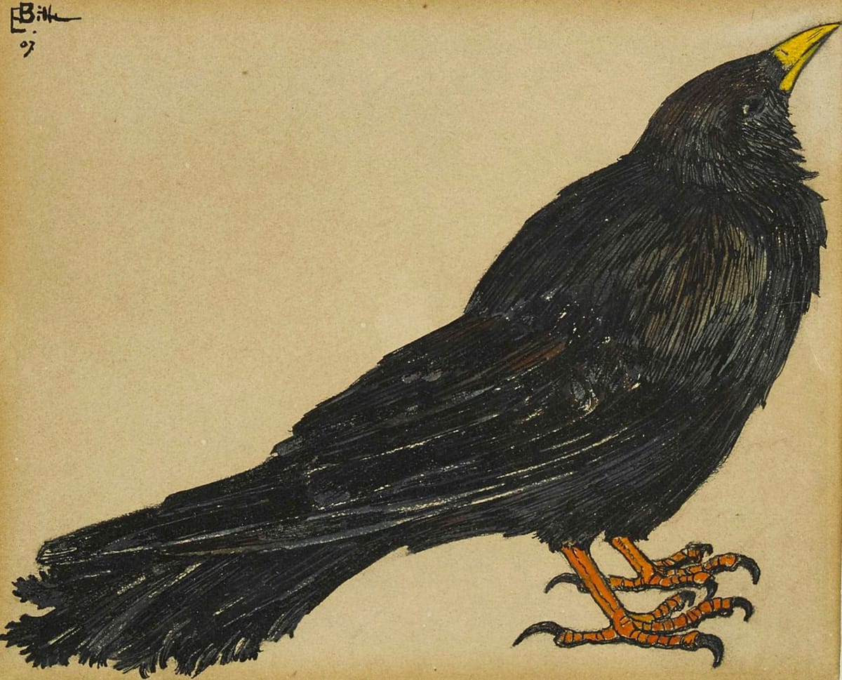 Artwork Title: Bergdohle (Alpine chough)