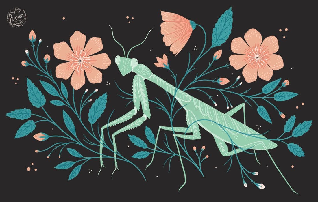 Artwork Title: Lost in the Garden: Mantis