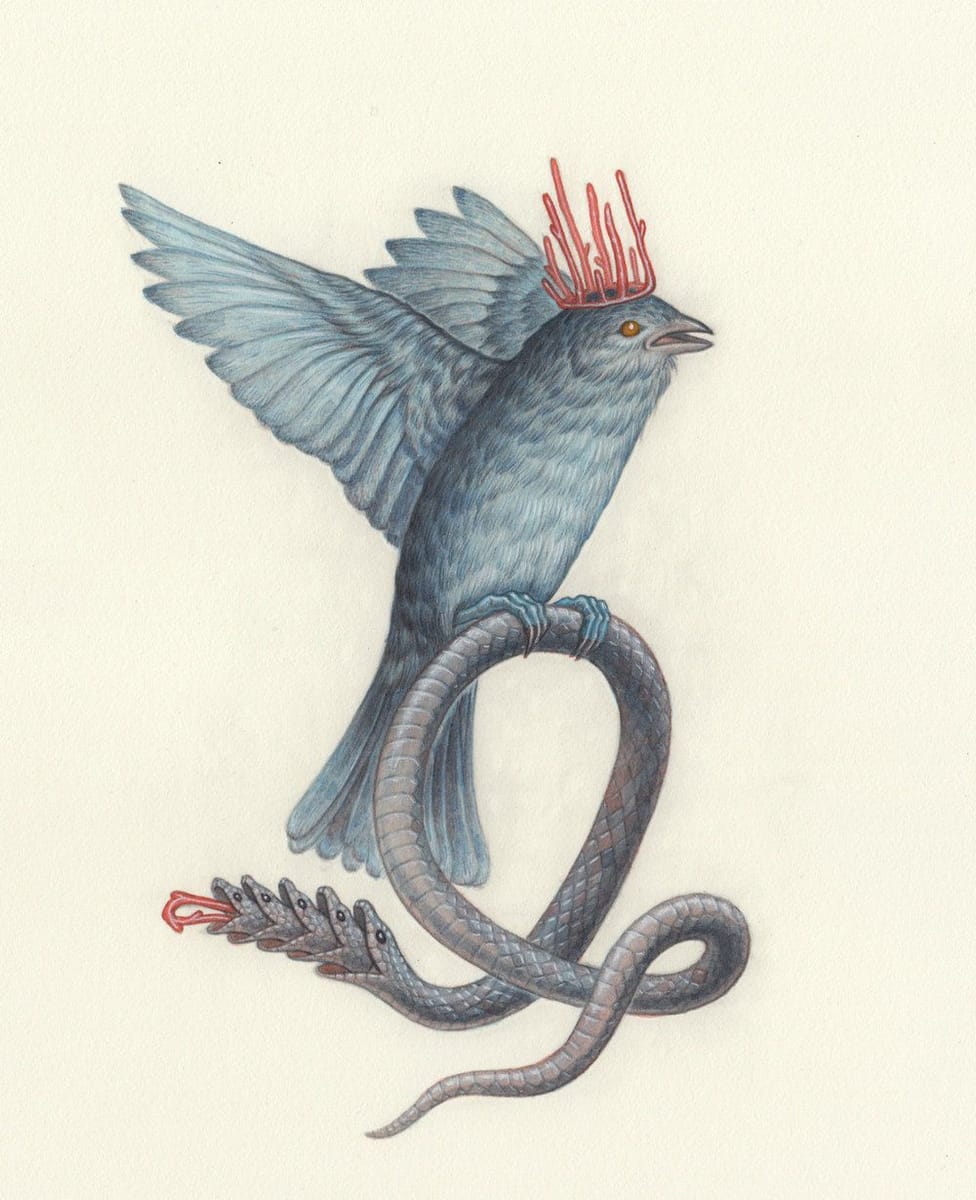 Artwork Title: Snake Bird