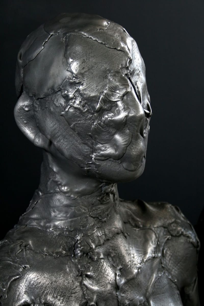 Artwork Title: Aegis