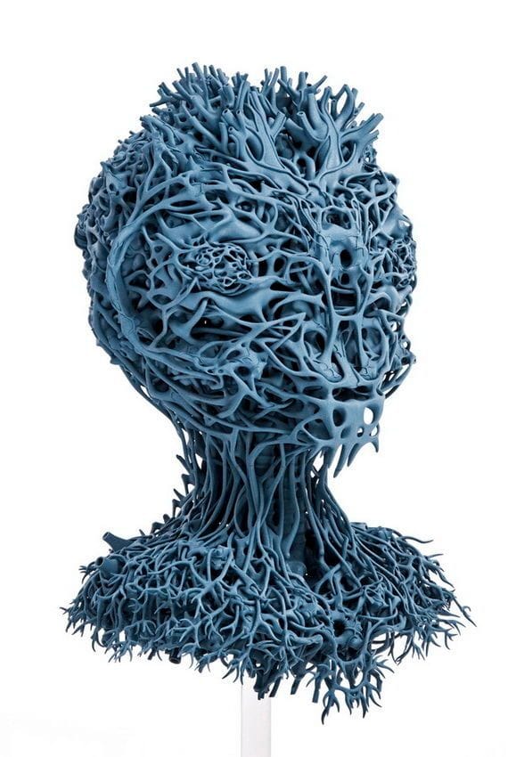 Artwork Title: Agrieborz