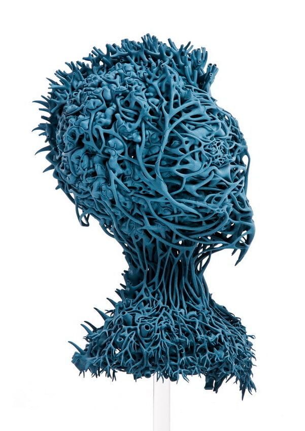 Artwork Title: Agrieborz