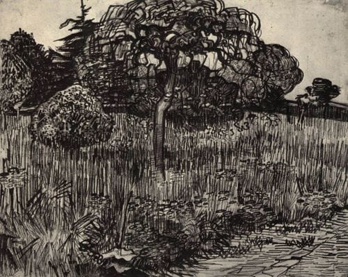 Artwork Title: Weeping Tree