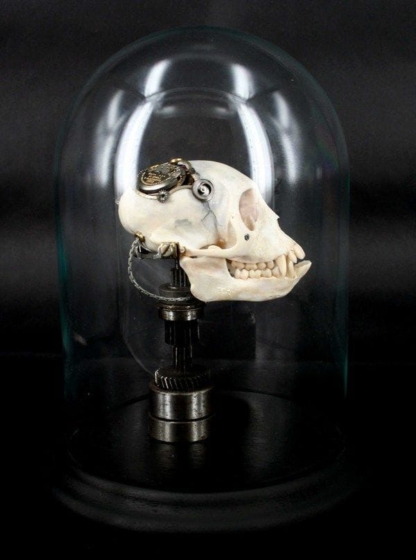 Artwork Title: Departed Skull