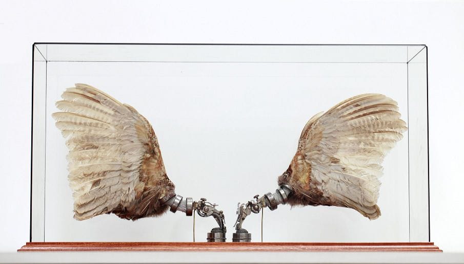 Artwork Title: Fixed Pheasant Wings