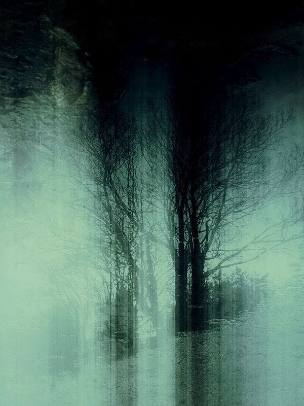 Artwork Title: Merciless