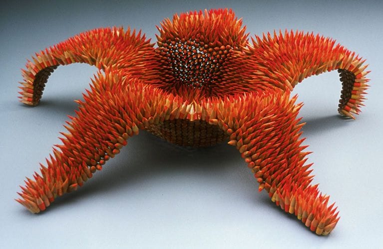 Artwork Title: Asteridae