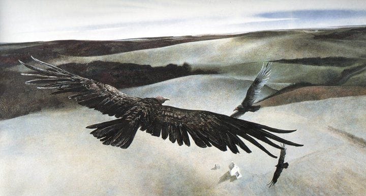 Artwork Title: Soaring