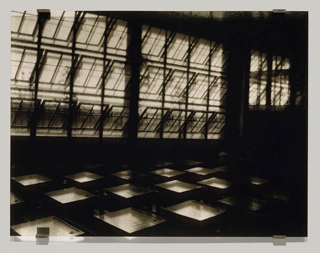 Artwork Title: Lumière
