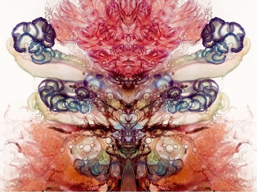 Artwork Title: Zooids